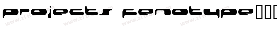 projects fenotype字体转换